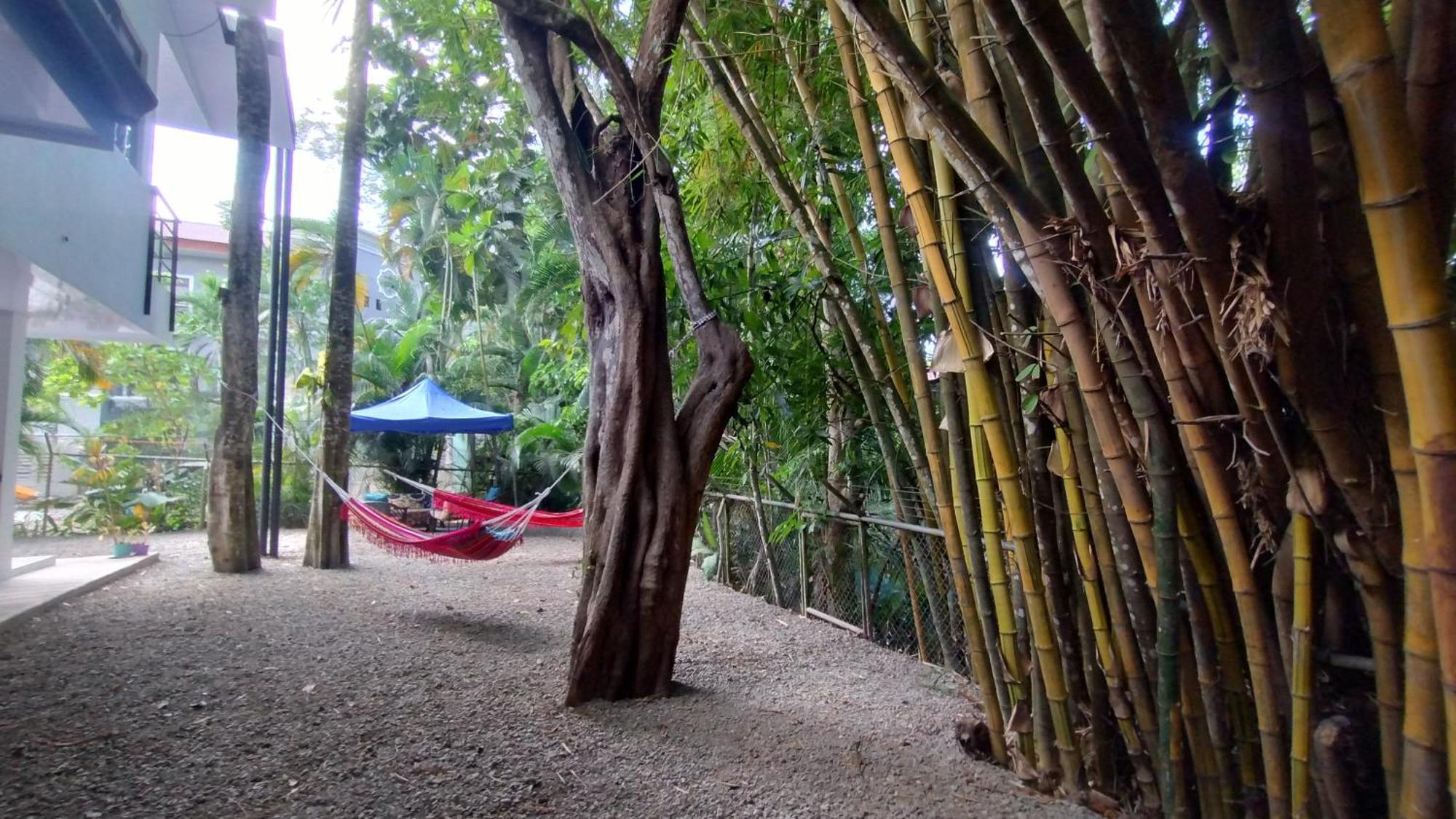 Casajungla Hostel Jaco Exterior photo