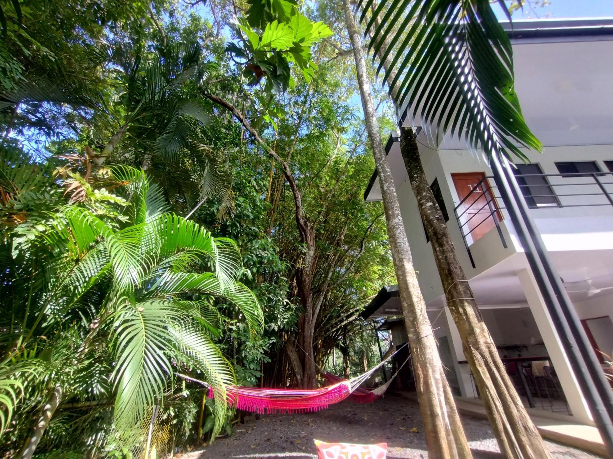 Casajungla Hostel Jaco Exterior photo