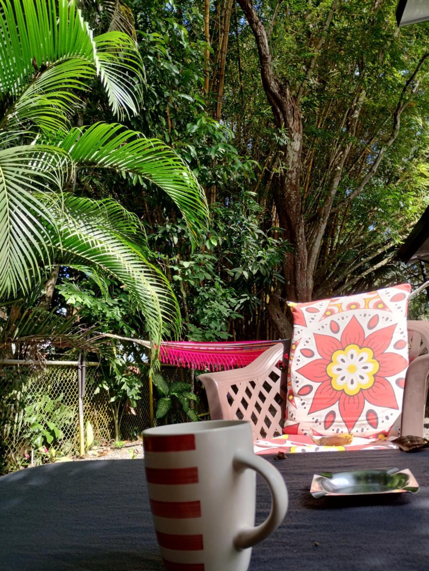 Casajungla Hostel Jaco Exterior photo